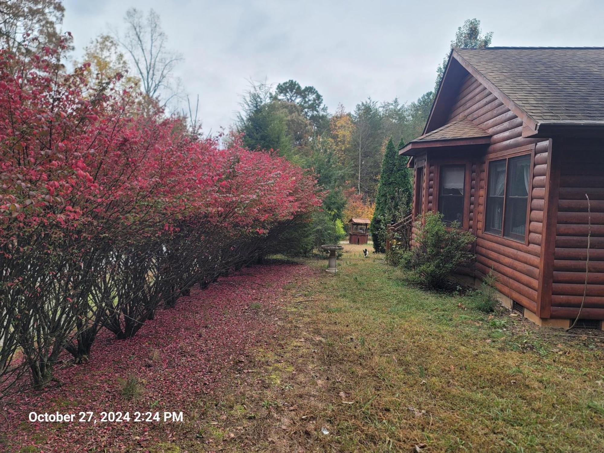 Get-Away Cabin Villa Columbus Exterior photo